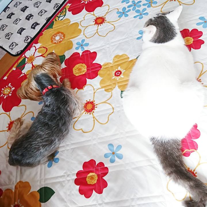 B59e2e76 ed5b 4fee 811e 4bfd5681d936 1530412910109