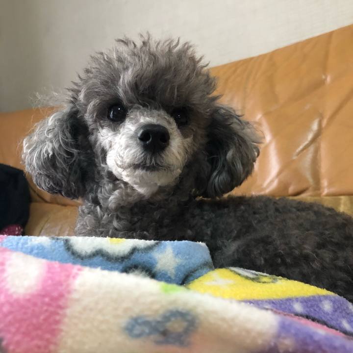 B59e5858 0399 47da 93d4 7755a54fbaf9 1581409513229