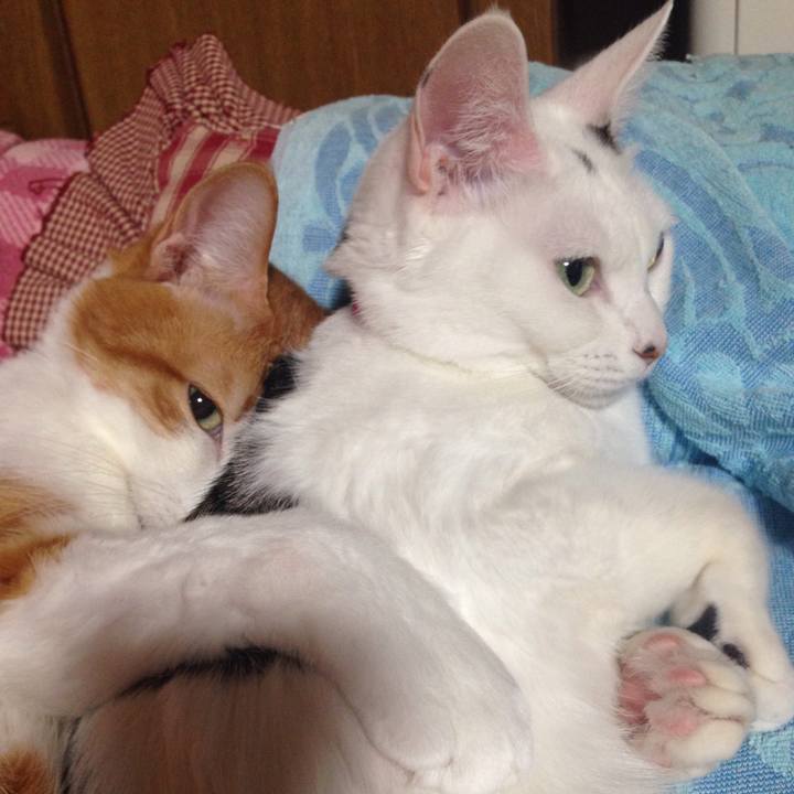 B59e7f32 ea44 425c 8a62 92d5158c7e7e 1513164410785