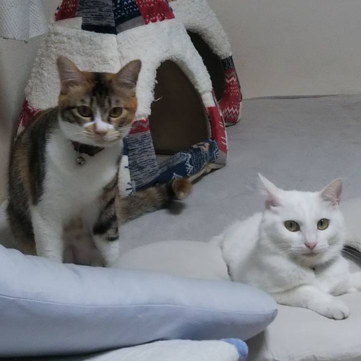 B59f0ca6 54a7 41c2 9e86 637ee8ec75fb 1664755210753