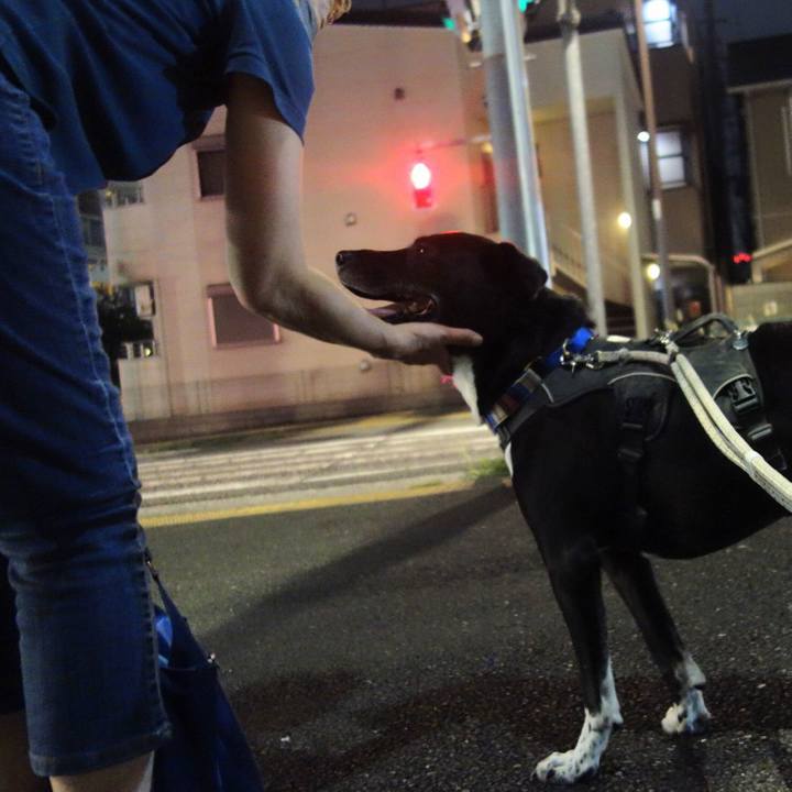 B59f1195 4a4f 43c0 8a3e 8d61d0411014 1659697660428