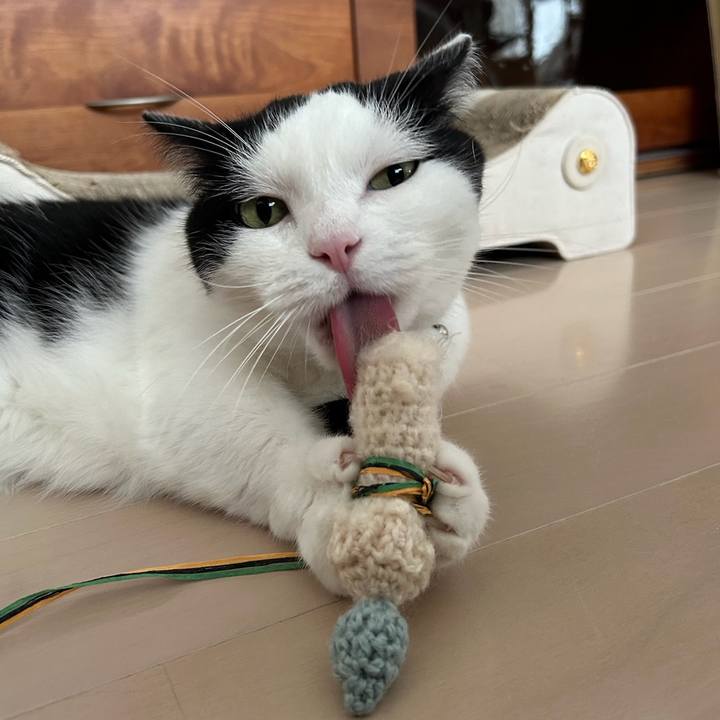 B59f479f a792 4cd1 be9f 3e292b7881a7 1758326572512