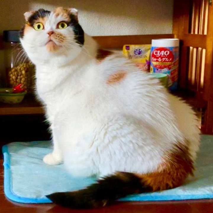 B59f9711 e7e4 45d1 ae45 6e96e8a82978 1568700161074