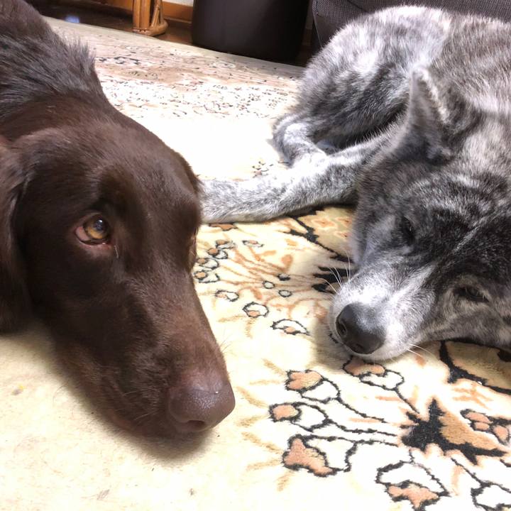 B5a01b4a 9933 4740 bf81 3f9fa24c949a 1578043709896