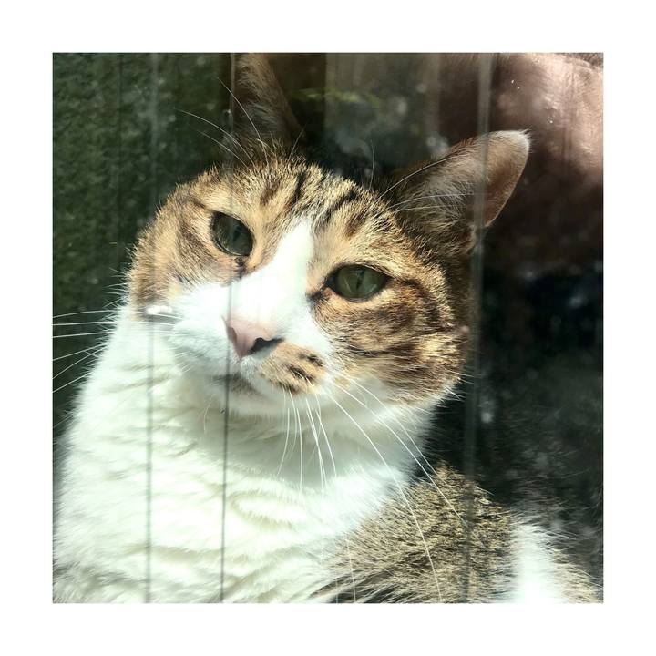 B5a09d1c 2d8b 4757 9d7b da74e1a46f67 1651555350440