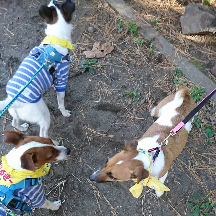 B5a0bdf0 5a1f 43a2 8c5d 6bfd856a50fb 1606546564850