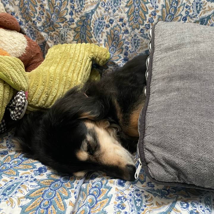 B5a0eb21 0650 4060 84b7 1eed9164d14c 1720494558922