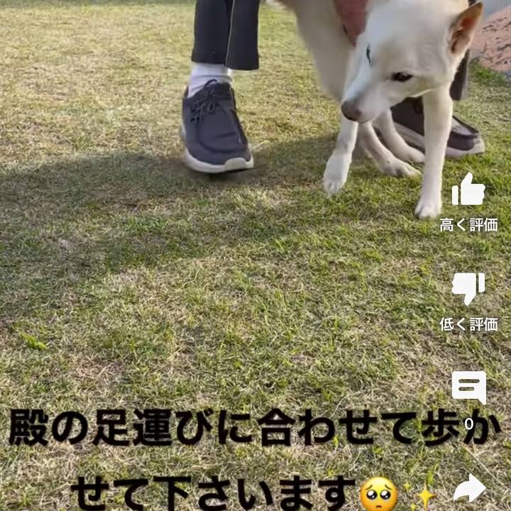 B5a106ea 6ee0 48e0 a94c 96cb575109e9 1680098831019