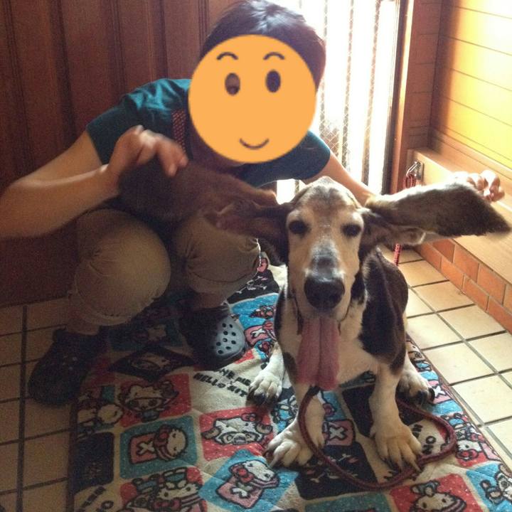 B5a10fce 389b 4bc6 9fb8 7aadd03ae904 1563106735716