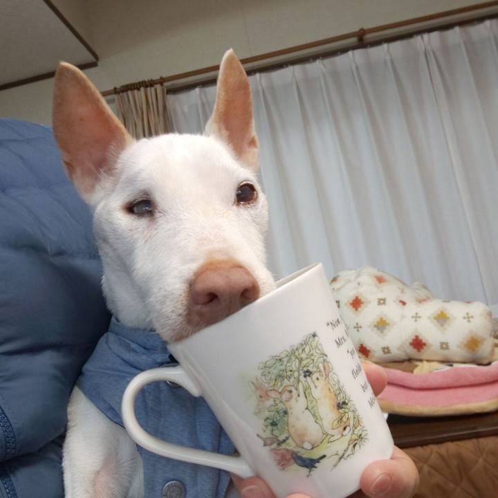 B5a11ff8 0eb9 47fc b910 f13ce2433a63 1579649578090