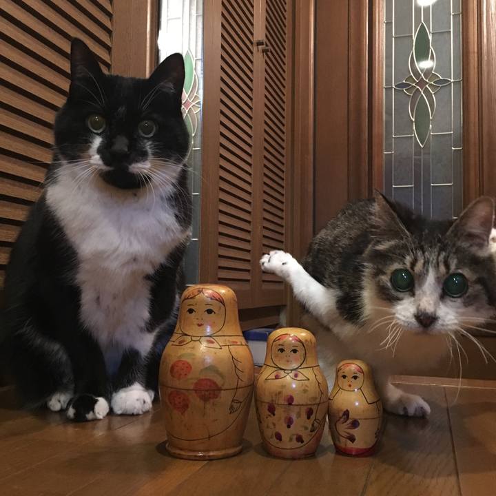 B5a130f9 8a18 4cf5 ab17 69a17250f2ae 1512046208065