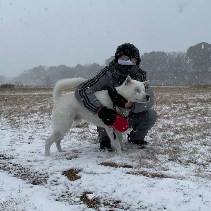 B5a13330 44c9 4096 ba93 8194d1749b39 1610014344654