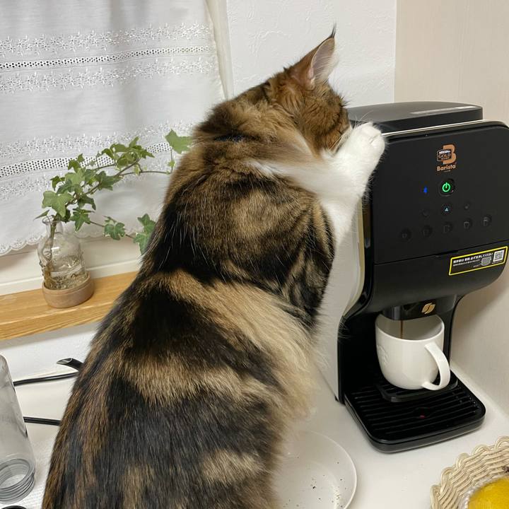 B5a1459e c088 4cad 872e b1a9c20feaa5 1644096249583