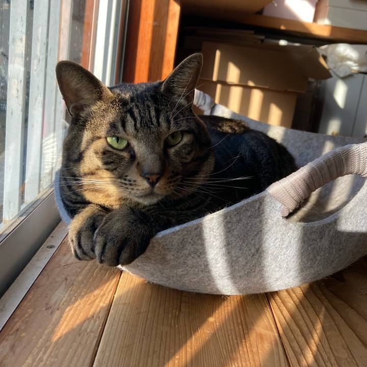 B5a152ca d620 42ef a173 b131f1d9cd09 1698969266399