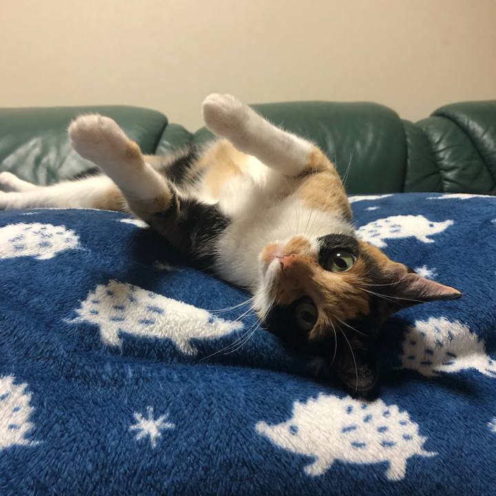 B5a15d05 d449 442c b540 5b1bab7878be 1562325012704