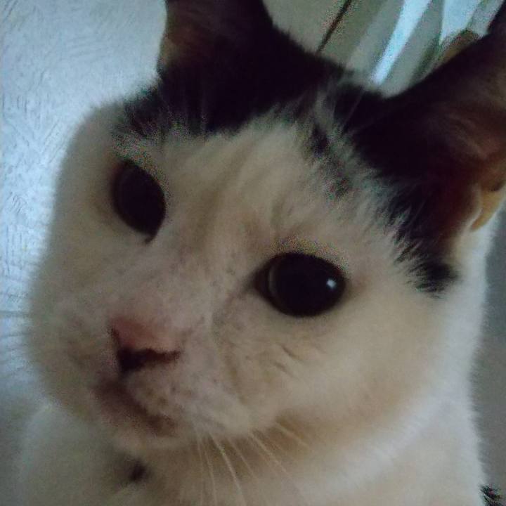 B5a1853b daf8 4904 8772 16dab754970d 1676718084644