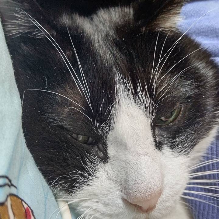 B5a1c883 ae51 4776 9aa0 1fb921b7b7da 1636243252706