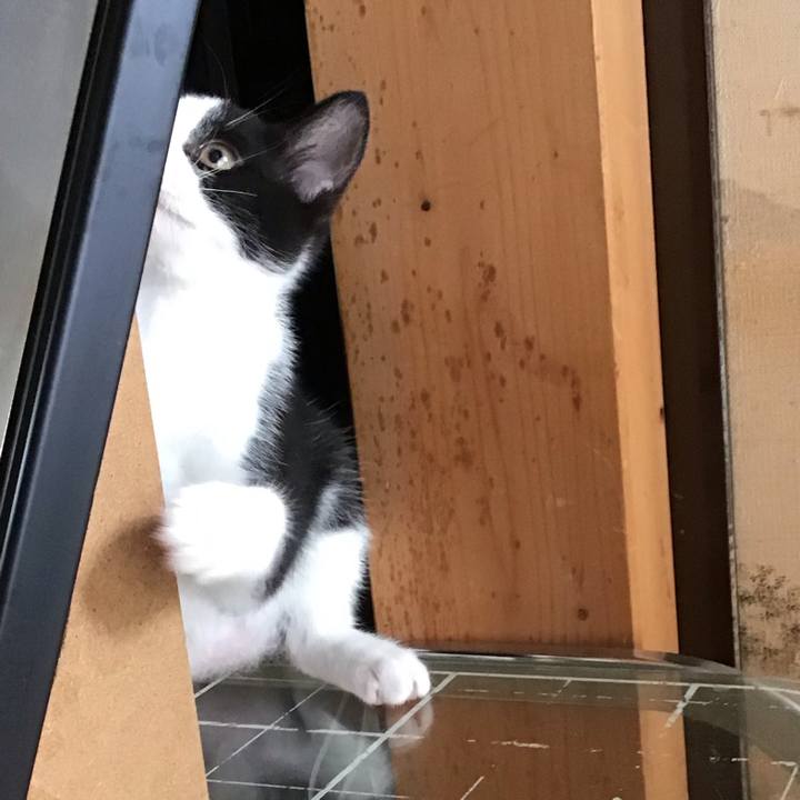 B5a1cb89 ab5a 4c5e 80a1 6efde6423980 1625795325883