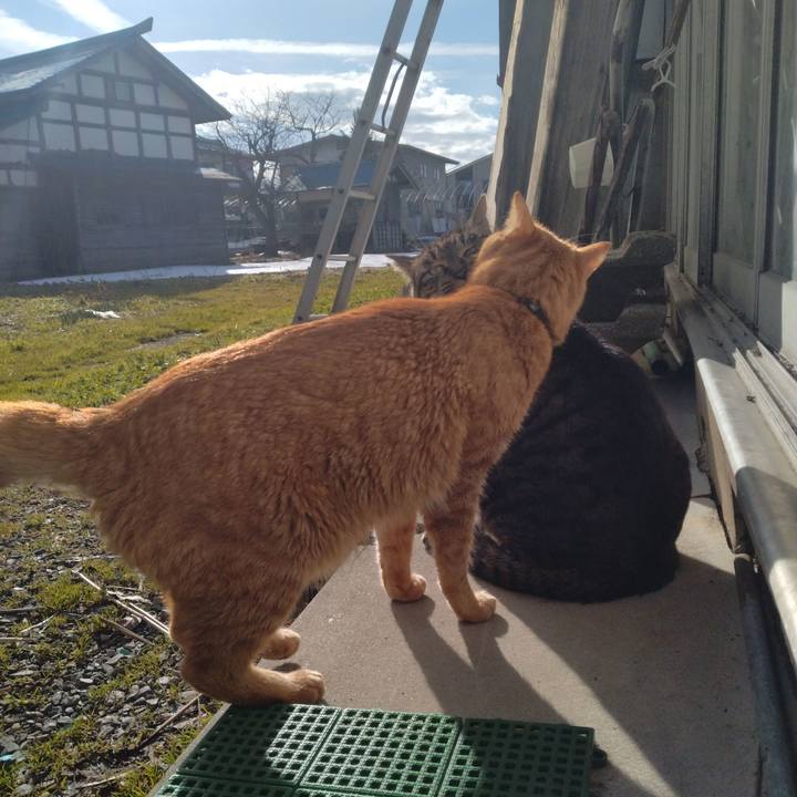 B5a1fcbd 4d2b 4d63 90d6 8fd315d12def 1708151383188