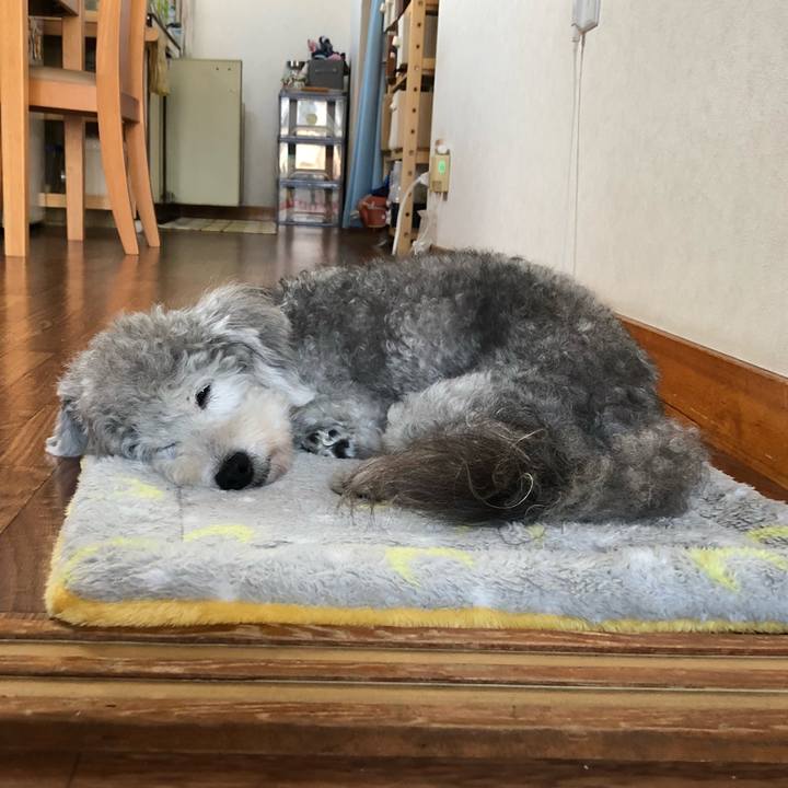 B5a202b6 06cf 4d79 a526 892c3cc47661 1531436987535