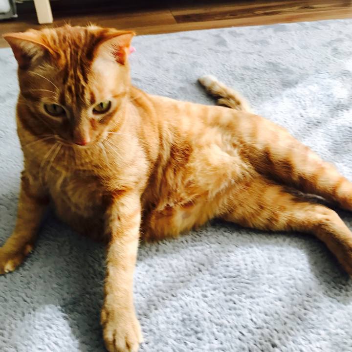 B5a282e5 33aa 4d56 b33f bd76ebbde059 1614142029072