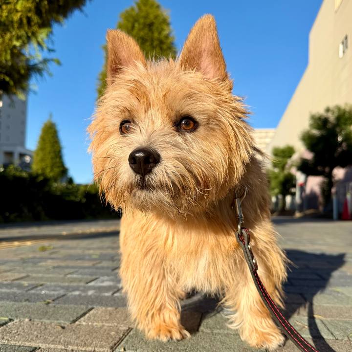 B5a28813 7f87 4784 a4be 6cccca15f803 1762001914335