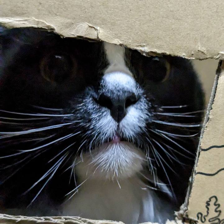 B5a29239 6aef 4a4a 987e 9fbb10133bdd 1678620810032