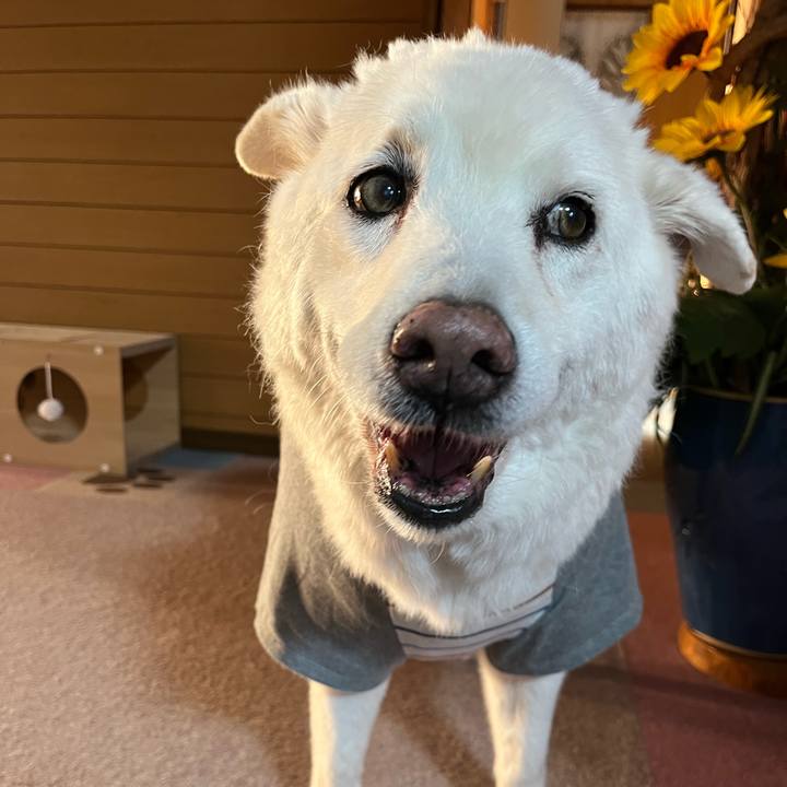 B5a2c3ae a420 4f16 8886 16e83081f2ec 1761780001292