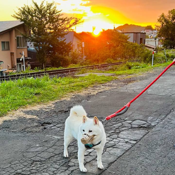 B5a30641 8387 4917 9cfc 0d8adc662b90 1758834331651