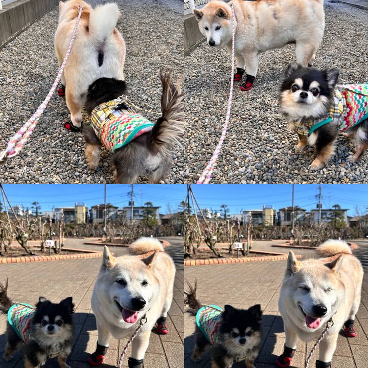 B5a3199c c59f 4461 8c20 616824c69976 1740471670284