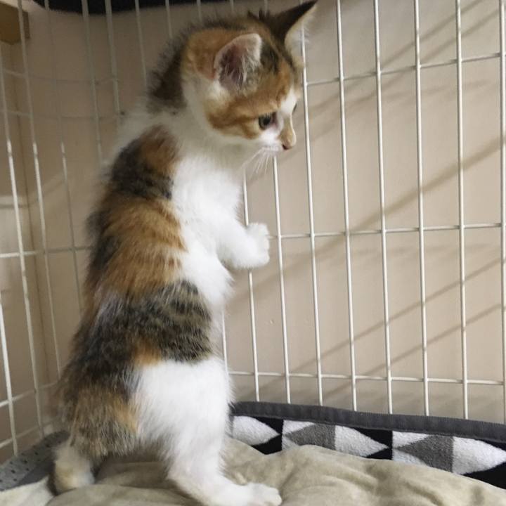 B5a31ec8 ccdc 4565 a8b3 e1c5ada09545 1562058274095