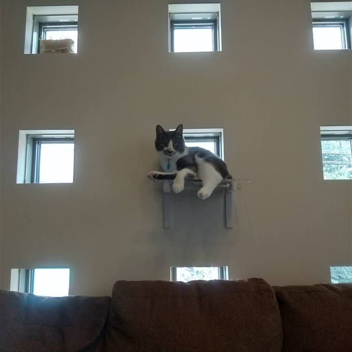 B5a3866b 2624 4b04 94ab 4f5171a8b441 1625641815955