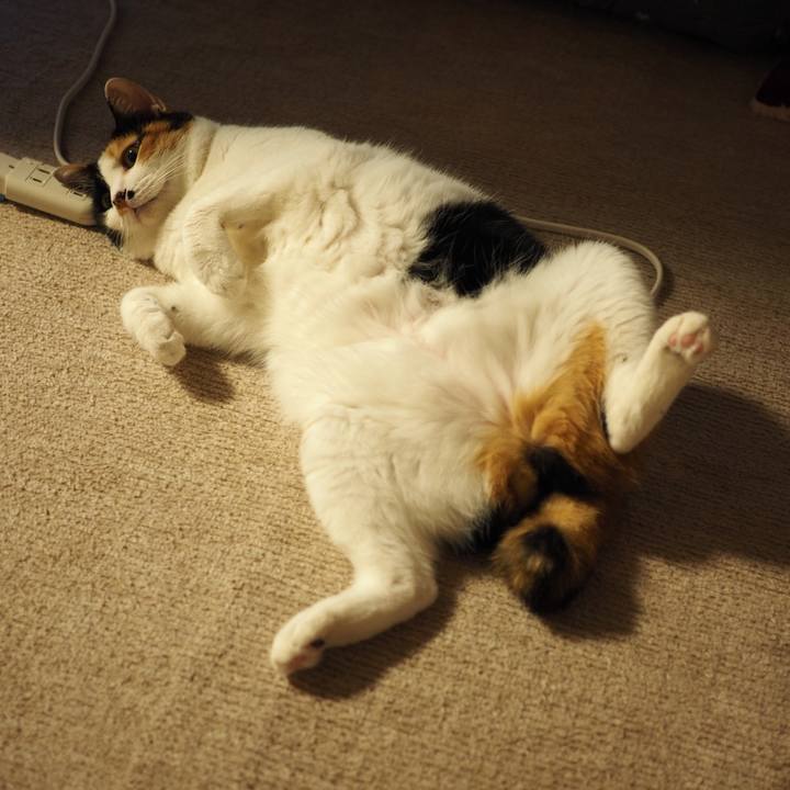 B5a3bd86 270a 4843 820e fb6afaf5e872 1601024561655