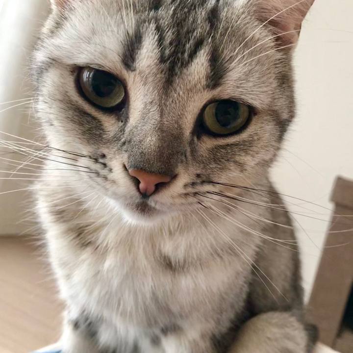 B5a3c3cf 5b45 4b57 bdb0 0f917602df86 1528493270952