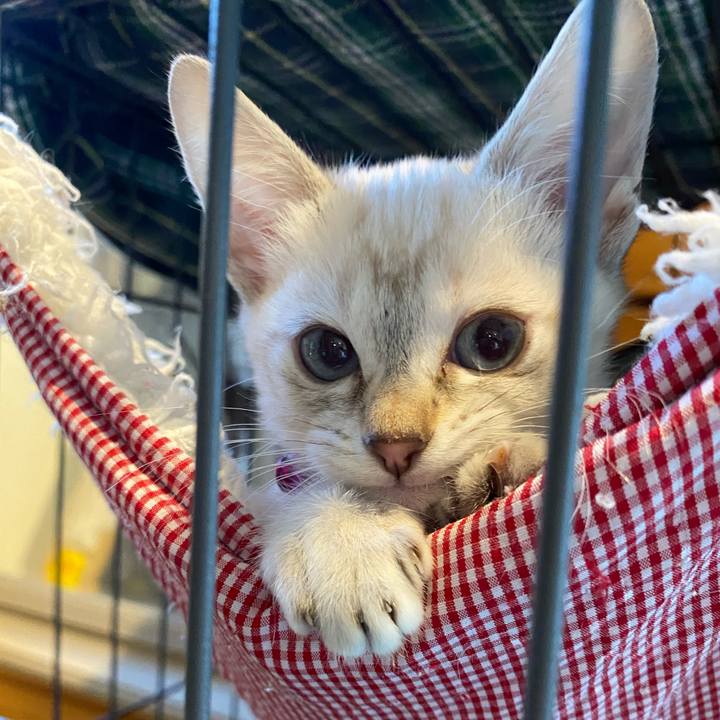 B5a3c943 c402 4637 9780 548746f94e89 1747098377626