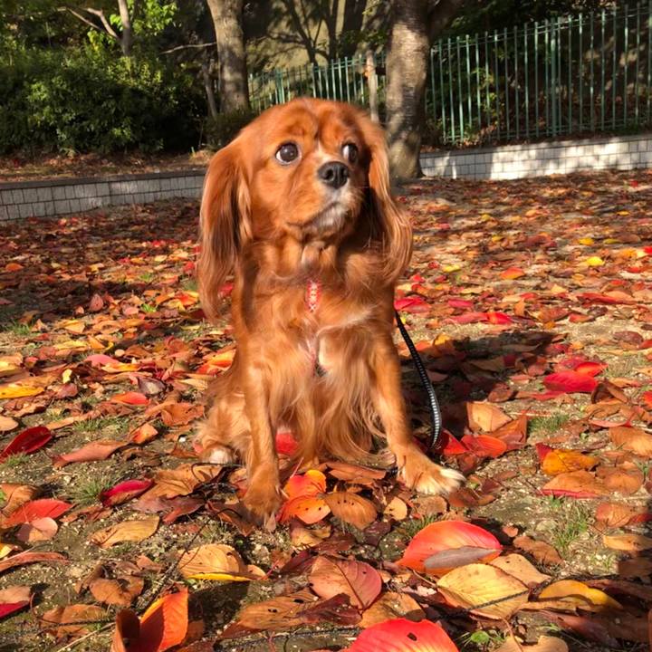 B5a3cbe7 f26f 4bc0 a7fb 72ad1aa04a93 1573863541597