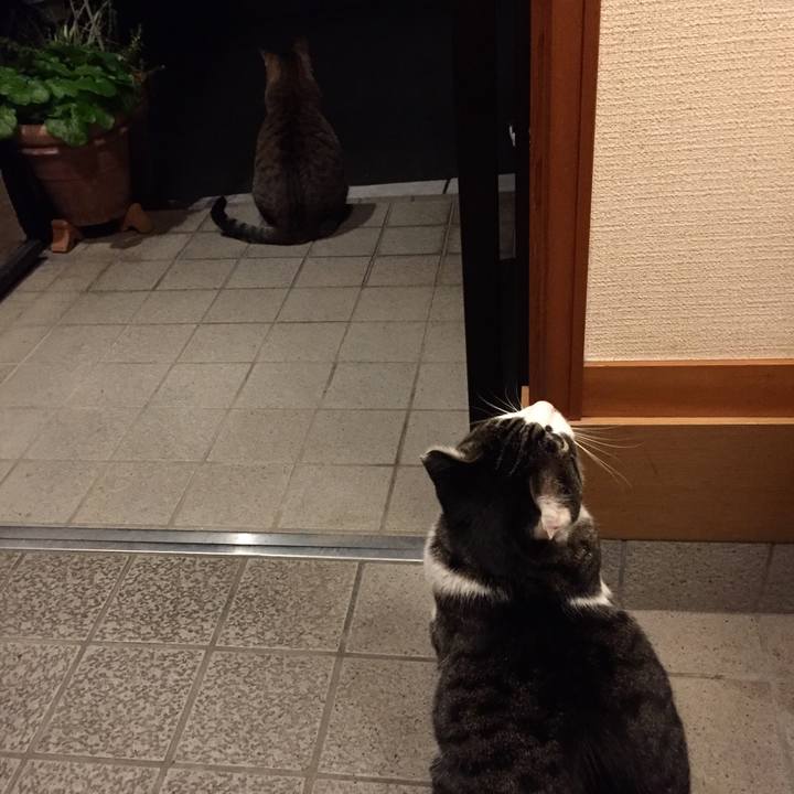 B5a3dbd9 dab2 407f 915a 43ce4a5d24ae 1510835057914