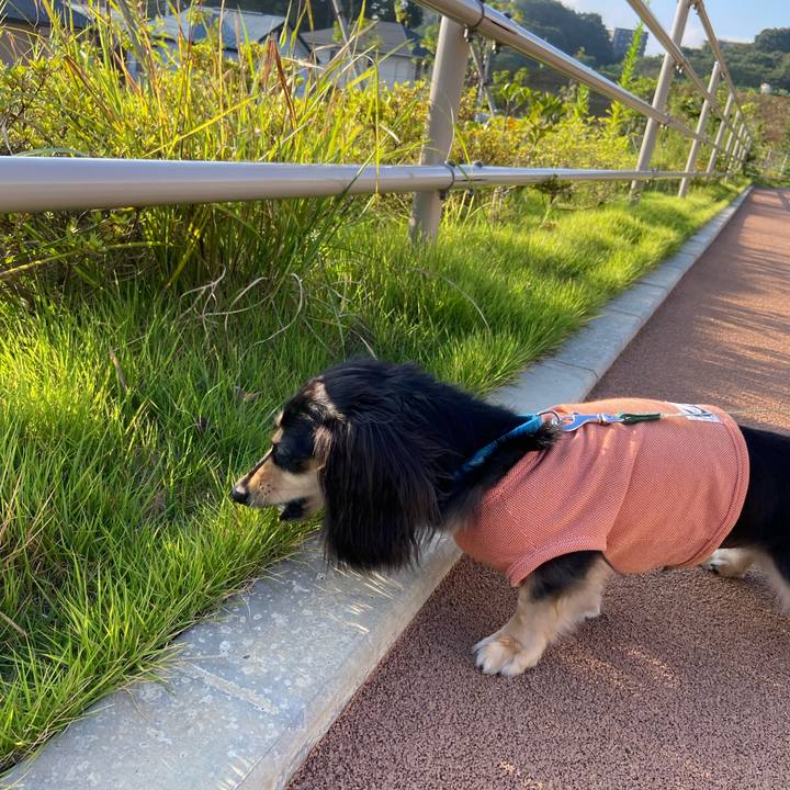 B5a3f45c 499f 41f2 a9e8 a30778165f66 1725832148504