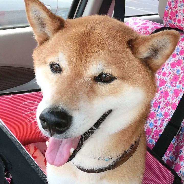 B5a405c7 0d48 4525 b5a4 fa856aa3c943 1650509459245