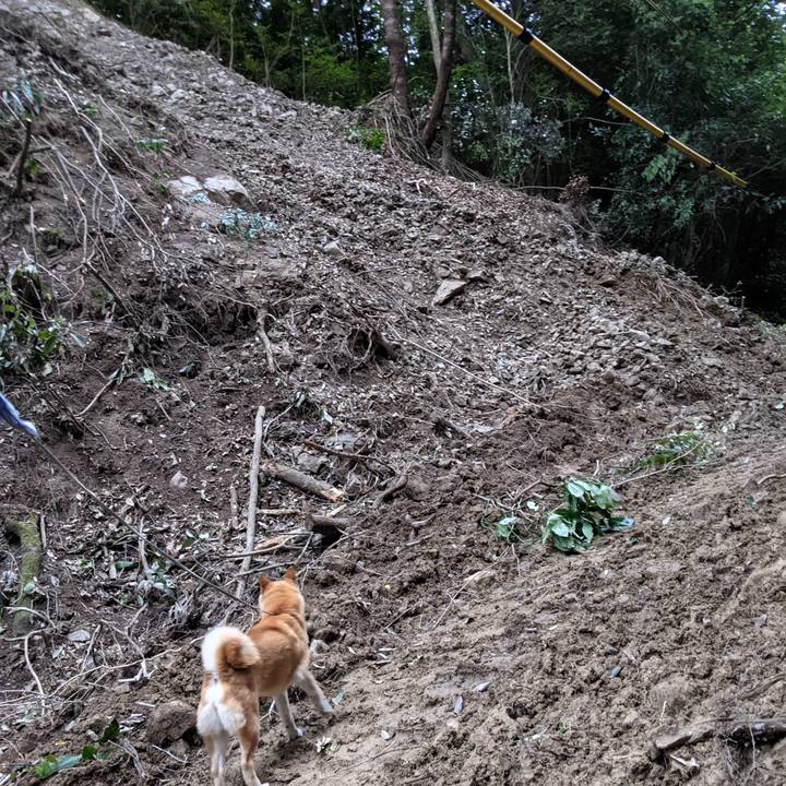 B5a42a17 13ad 4def a45a e5349adff503 1627903740075