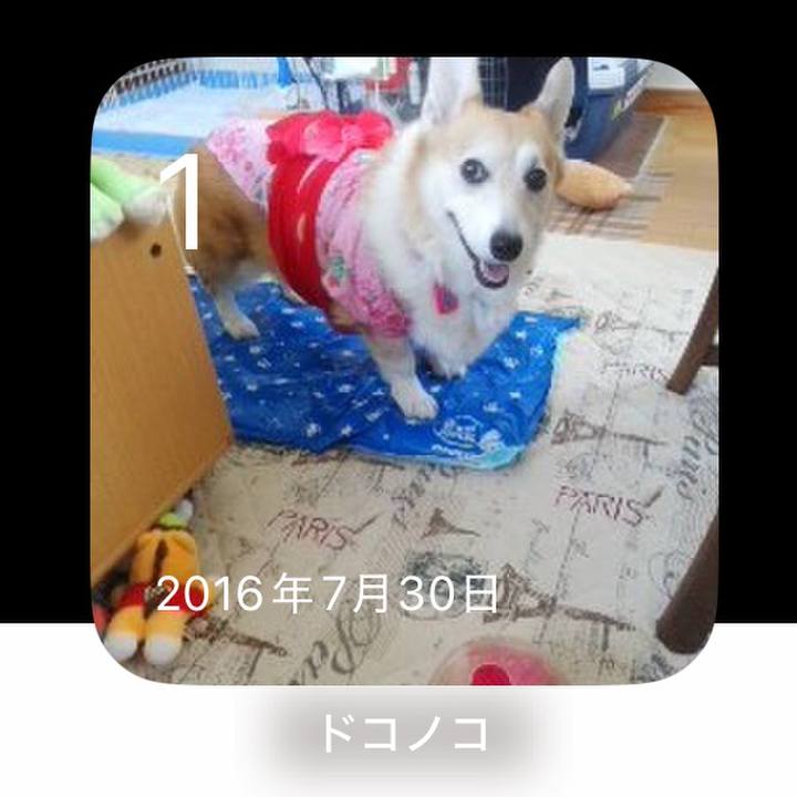 B5a4574f 3067 433c 9059 67da3ba63539 1754035951969