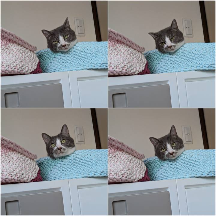 B5a4a6ed fa9b 4938 84d8 27a0575b1eda 1725422825865