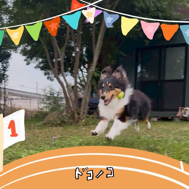 B5a4b36f 6e41 4c5e a04d 7c80899c9311 1762448013673