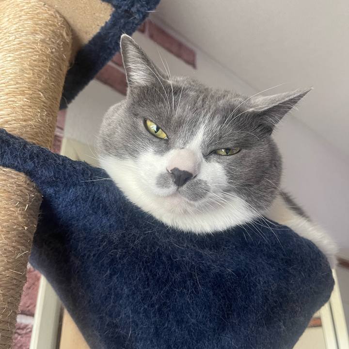 B5a4bef1 2e6a 4f1a 851d ef2a8b71ae22 1710718720214