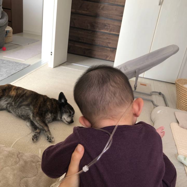 B5a4e42a 9667 4476 9287 88bbc45f1de1 1712222272741