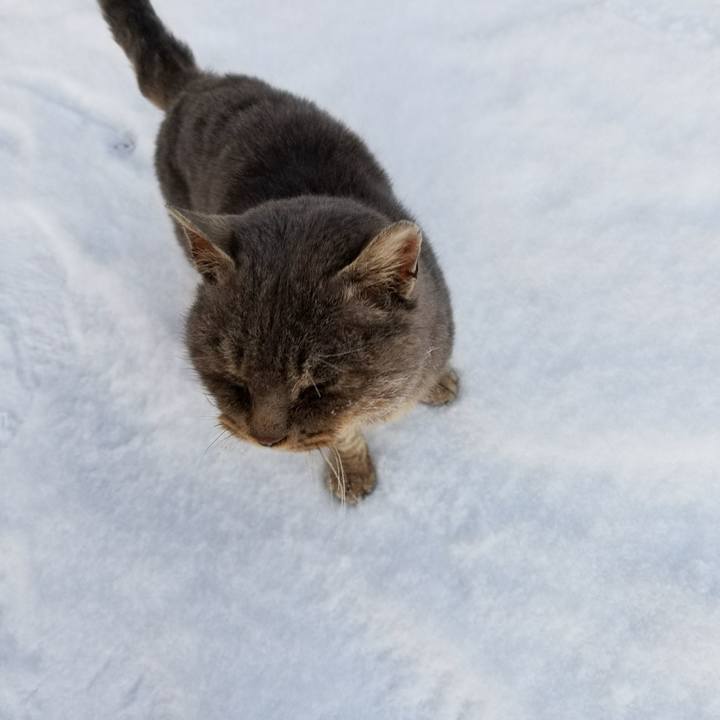 B5a51b30 0ff3 4e2f 9c9b 4e009bd2c489 1516401479603