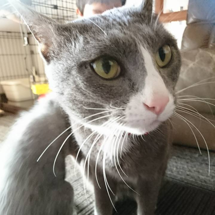 B5a57664 2e22 432b b7e0 e1bd6245f75f 1514807181482