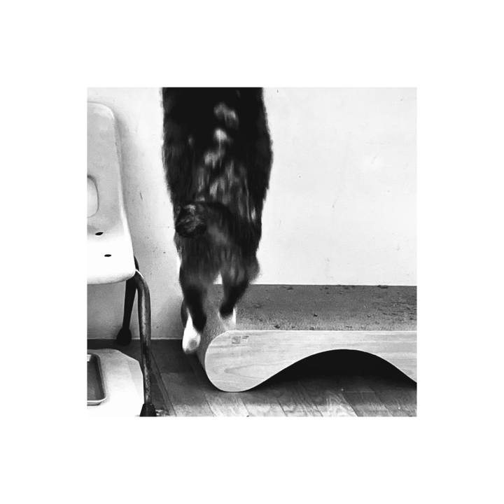 B5a58b20 0ff3 406d 9faf ce728f809ec3 1668318006490