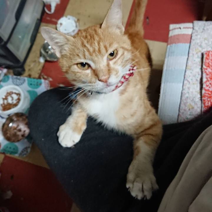 B5a59247 2d03 4ad6 84e2 7b297055aaf9 1560718172037