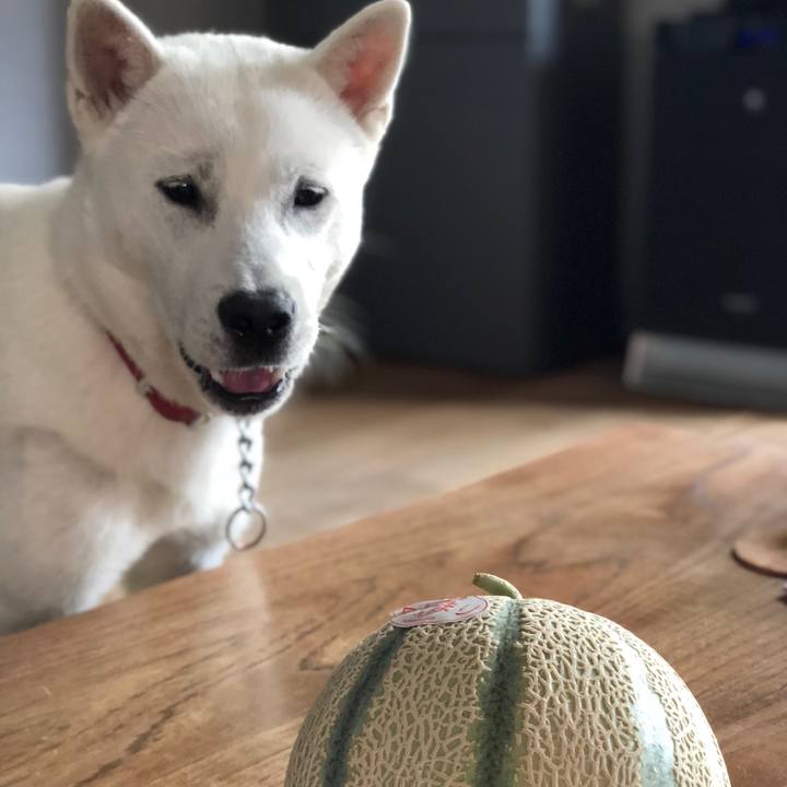 B5a59509 19a5 4051 be35 1149de7ccb90 1527156206793